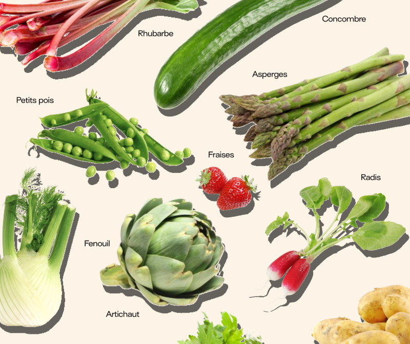 Mai fruits, légumes et recettes de saison